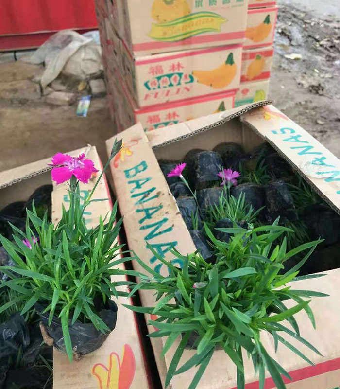 发货现场